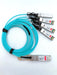 Switch SFP Custom 100G-4X25G-AOC-3M-Arista-4xOpen in UK Stock worldwide shipping Cable Length_3 Mtr, Cable Type_OM4 Multi Mode, Connector Type_QSFP28, Connector Type_SFP28, Data Rate_100G, Data Rate_25G, Fiber Mode_Active Optical Cable