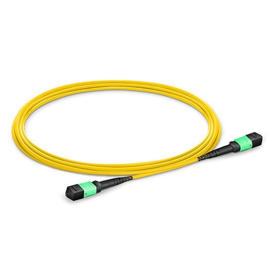 OS2-MPO-MPO-12Fibre-5M-B Switch SFP — Switch SFP Ltd